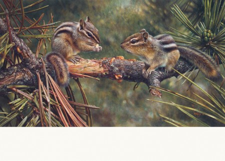 Twin Foragers by Denis Mayer Jr., Canadian Wildlife Artist