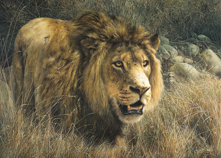 Fearless King by Denis Mayer Jr., Canadian Wildlife Artist